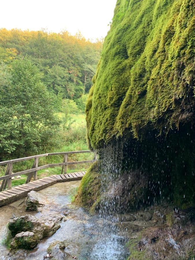 Ferienhaus Backesgarten Fuer 22 Personen Neichen Екстер'єр фото